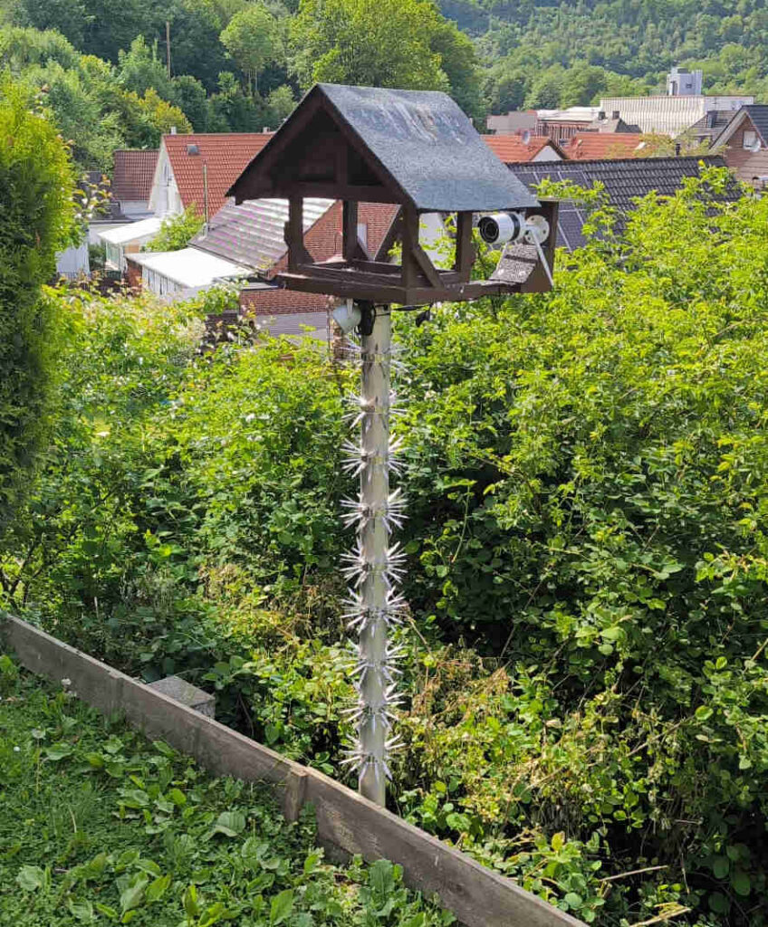 Waschbärabwehr am Vogelhaus